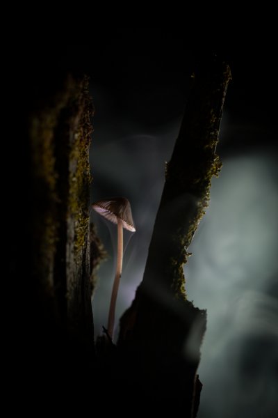 Одиночество