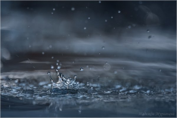 Капель