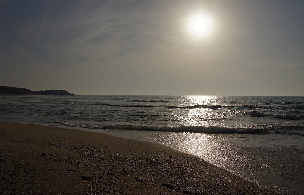 2. DSC02437 1024.jpg