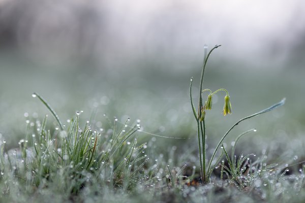 Весна, лето, осень, зима... и снова весна.