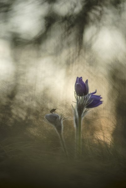 Провожая день...