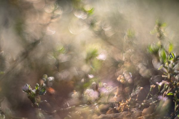 Мульт про осень...