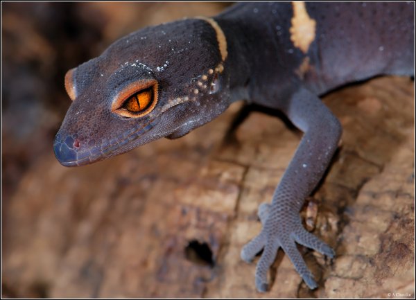 Взгляд через века.jpg