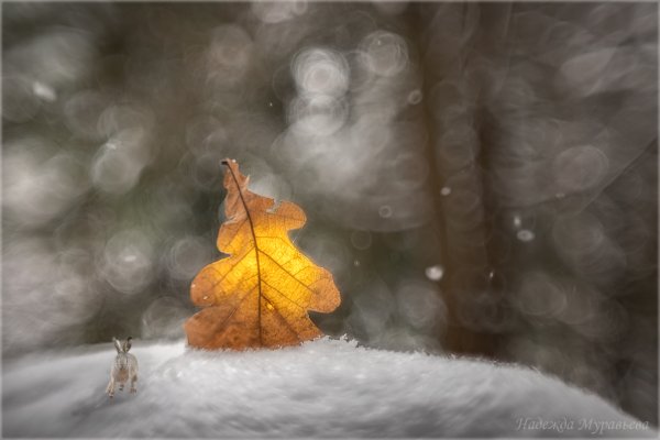 «Н-о-овы-ы-й Год к нам мчится»