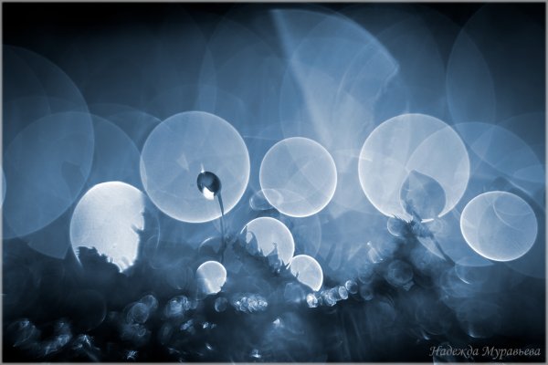 "А ночь такая лунная"