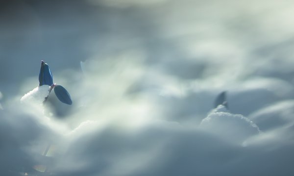 Скоро весна...