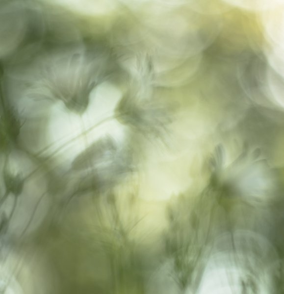 Призрачный май...