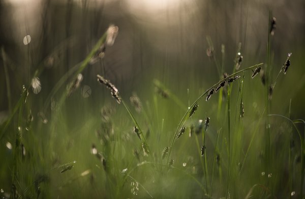 Собрание ТСЖ...