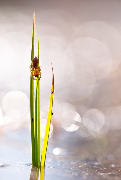 Когда разлив...