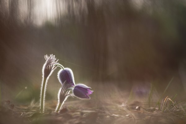 Утро для двоих...