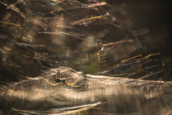 настройщик гирлянд...