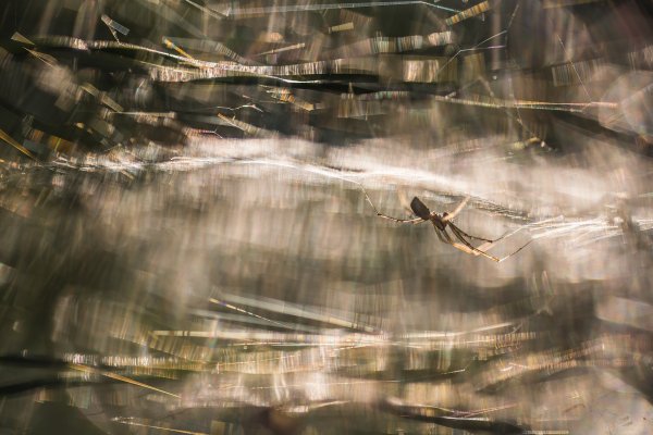 Создавая нити света....