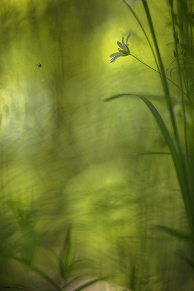 Огромный мир...