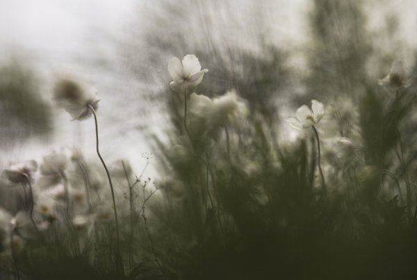 В непогоду...