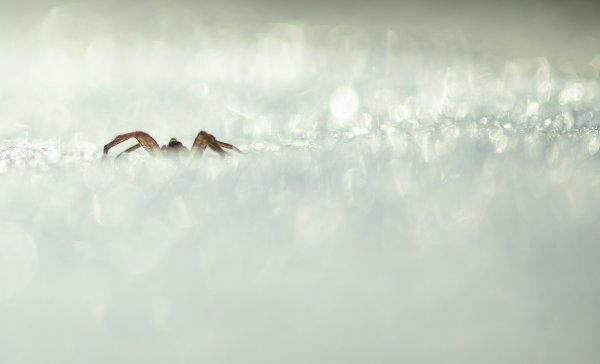 Зимняя угроза...