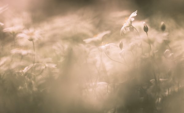 Из майского...