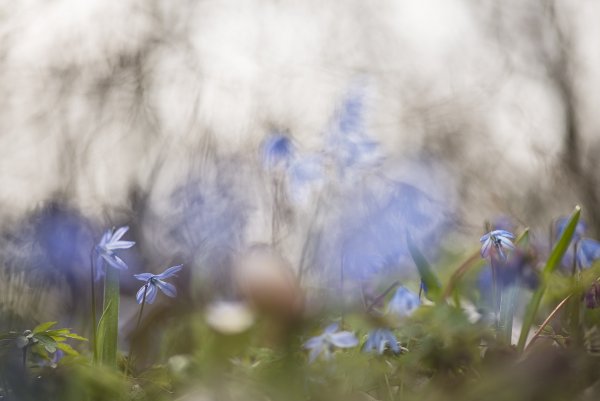 Такое вот настроение...