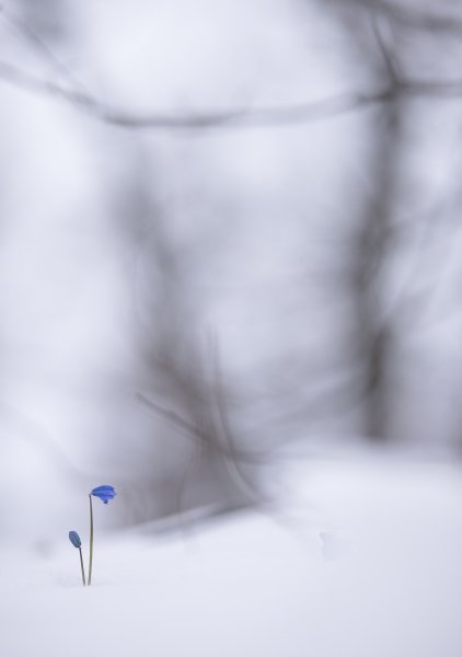 Первое апреля...