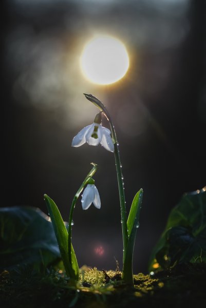 "Солнце согреет нас своим теплом"...