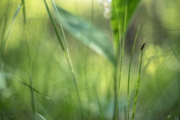 Майское настроение доброты...