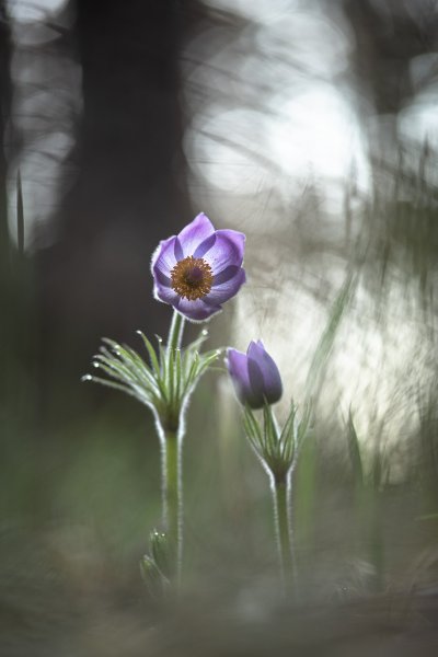 Я хочу быть с тобой...