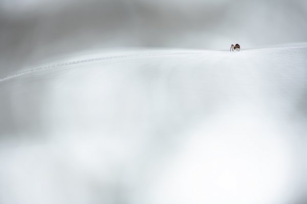 В огромном пространстве, минимально...