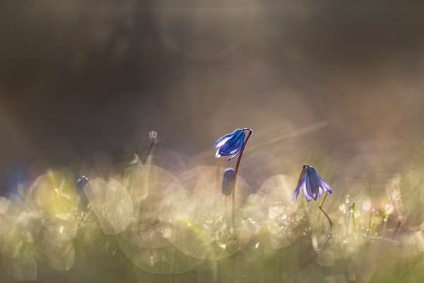 Я посылаю тебе сигнал...