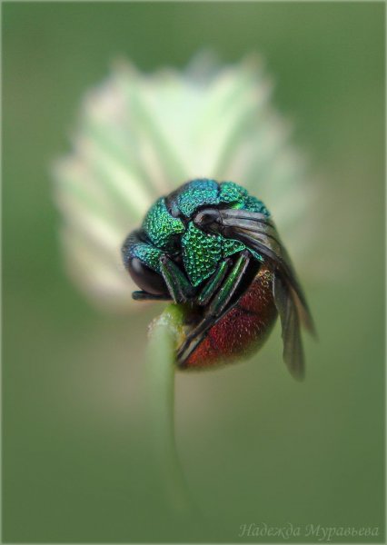 Поели - можно и поспать