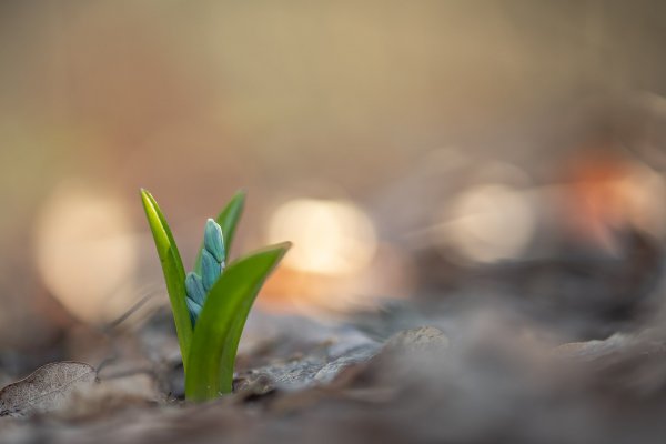 Проснулись...