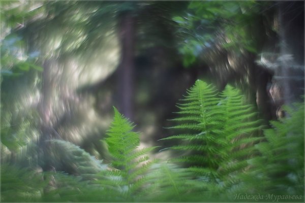 Однажды летом