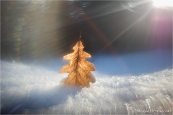 Когда зима и вообще нечего снимать.