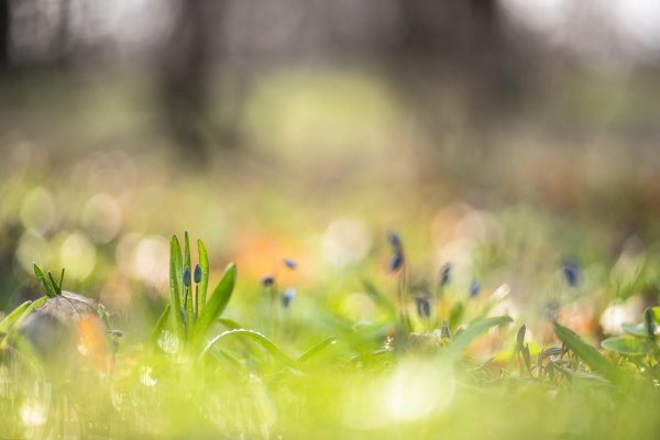 Первоапрельское...)