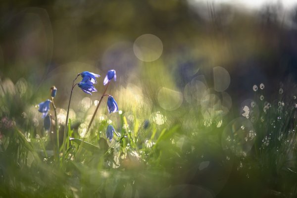 Апрельское... позитивное утро...