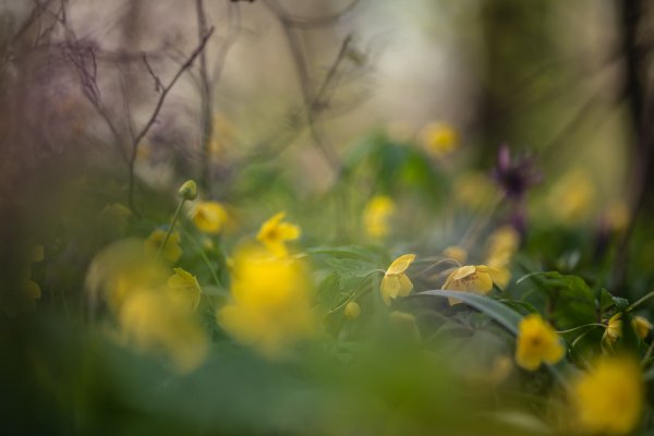 Просто апрельское утро...