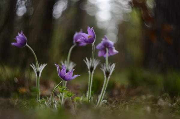 Потерялся ...