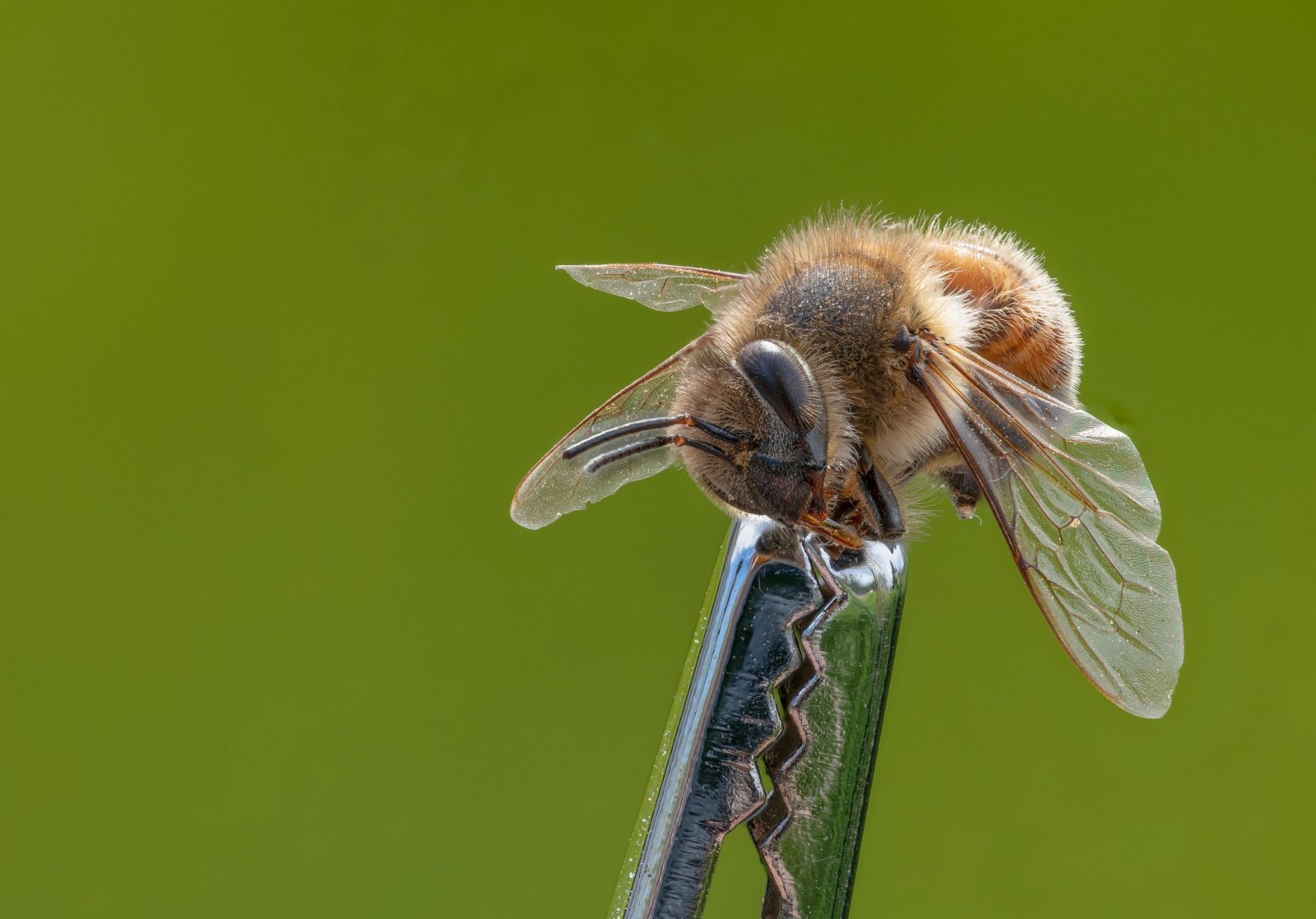 2023-05-04 12-29-45 copy 22.jpg