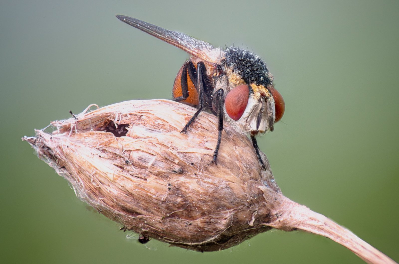 2023-05-20-01.17.30 ZS retouched copy.jpg