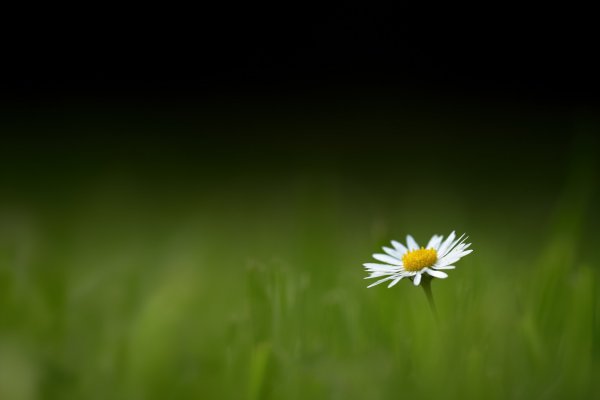 В темноте одинокая