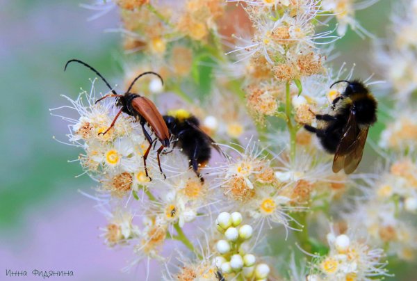 Нажралась, отвали - дай другим дорогу