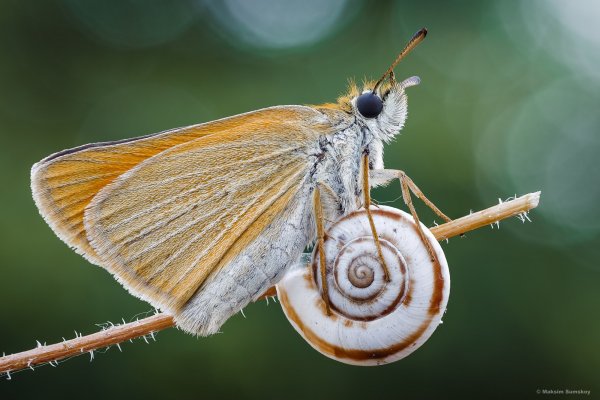 More information about "На моноколесе"