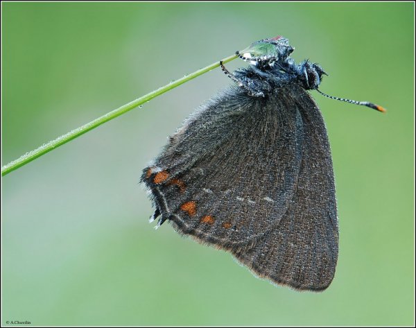 Точка росы.jpg