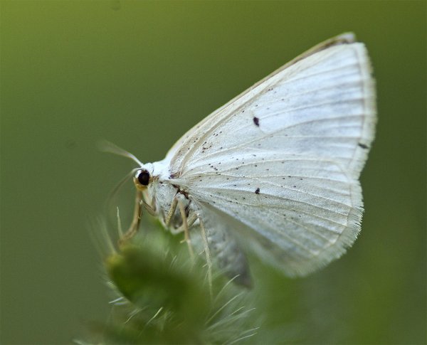 Улыбнись и хватит грустить !!!