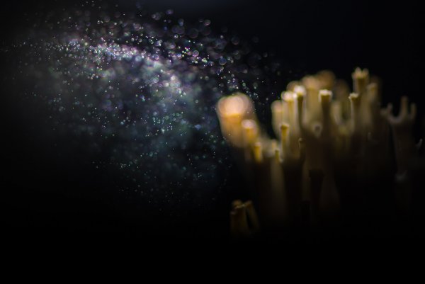 Другие миры