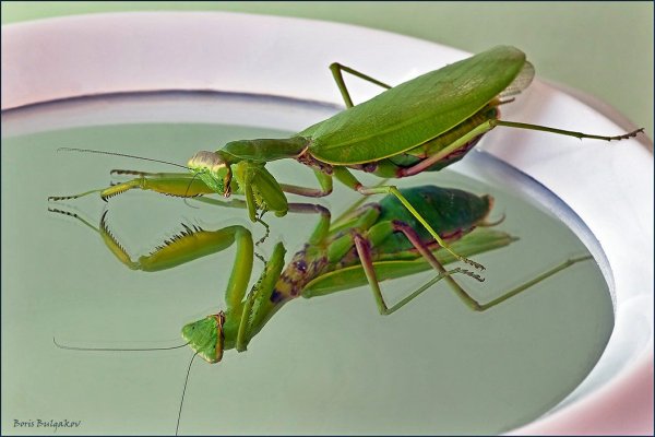 - Права Раневская, ох, права!