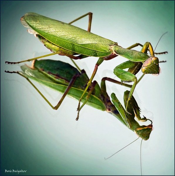 - Ой! Морщинка!