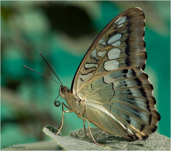 Водные процедуры
