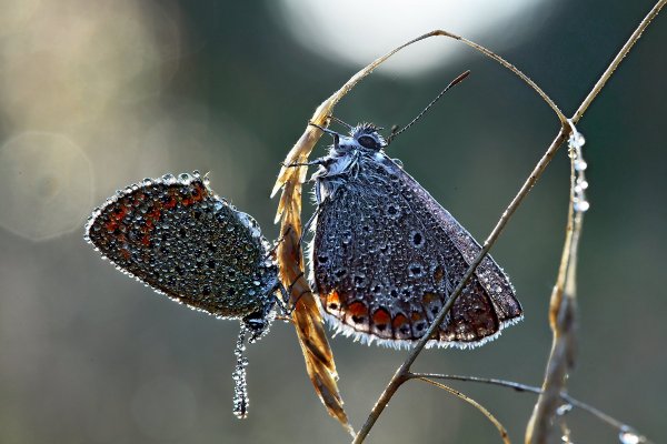 На рассвете
