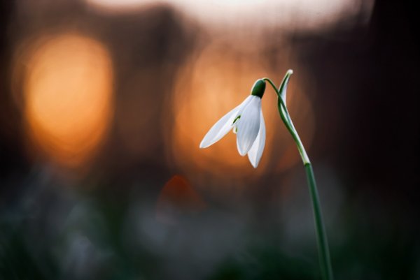 "Loving sunsets again"