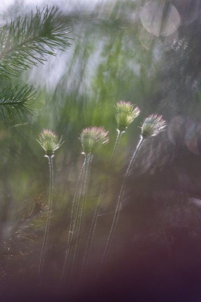 Остатки красоты былой