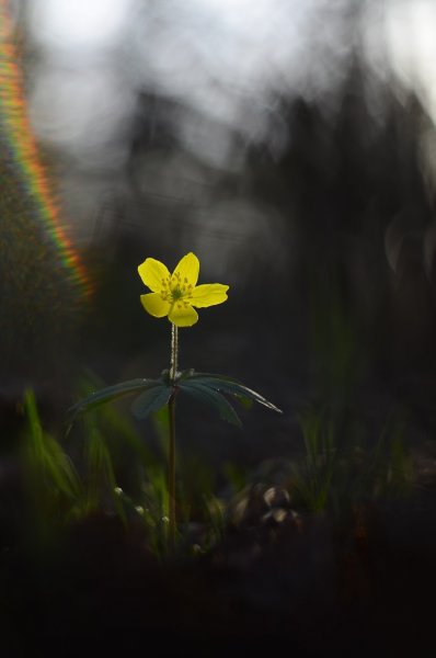 Борьба света и тьмы